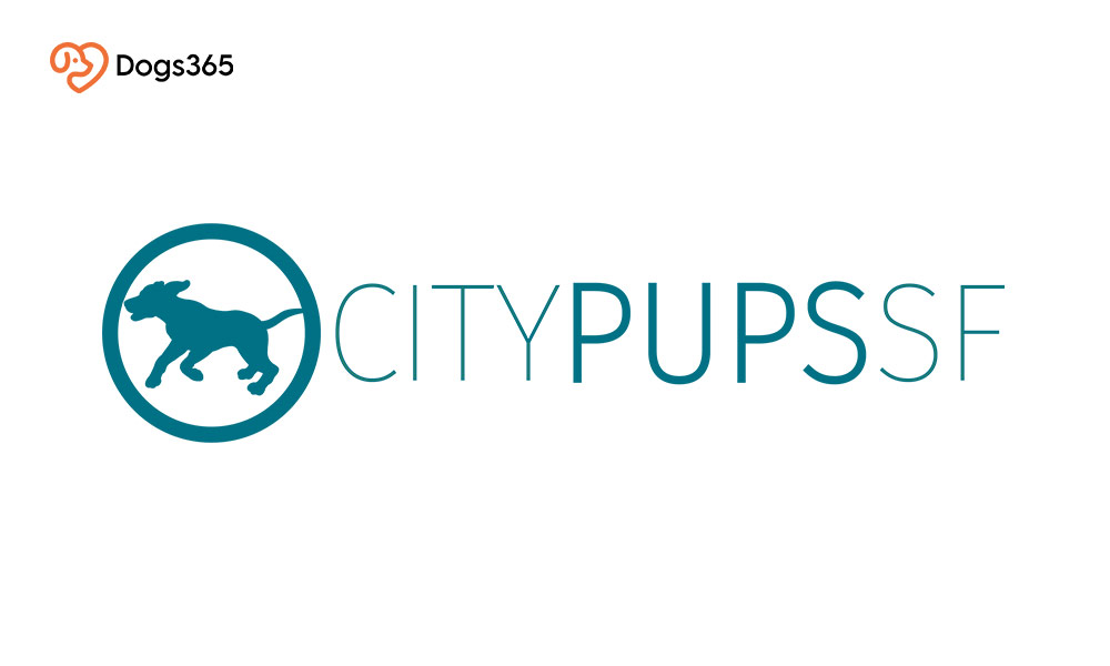 1.  City Pups SF