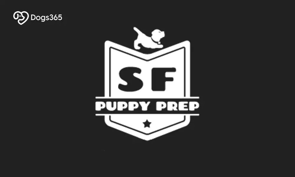 6. SF Puppy Prep