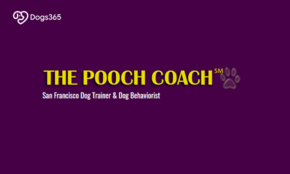 4. The Pooch Coach