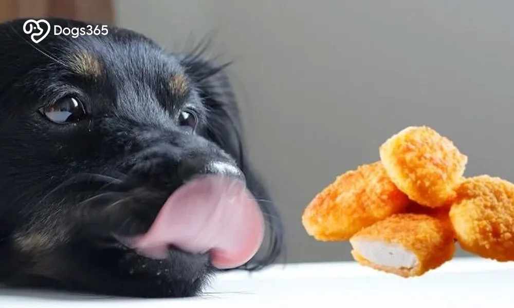 Can dogs have Chicken Nuggets?