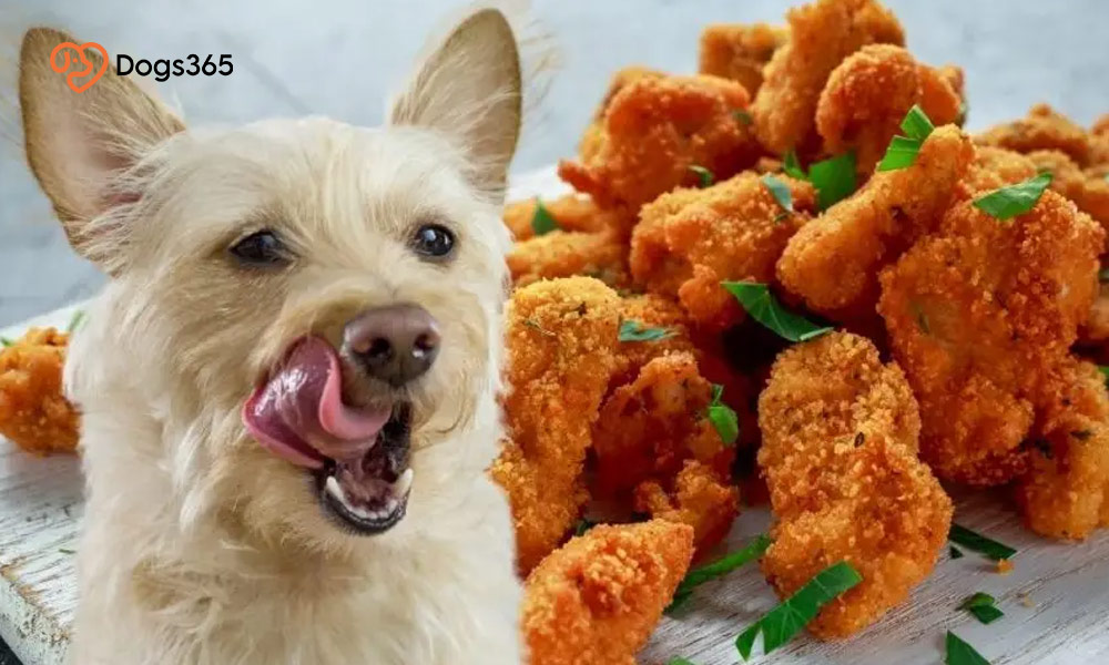 What to do if my dog likes to eat Chicken Nuggets?