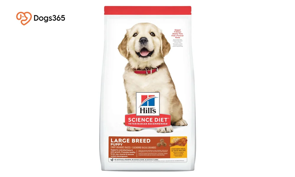 4. Hills Science Diet large breed: best dog food for golden retrievers