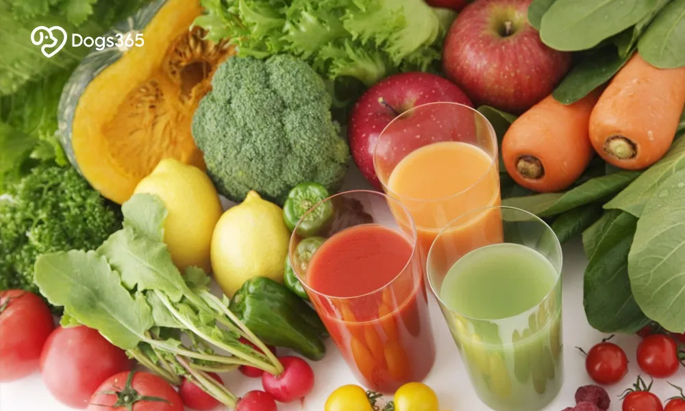 4. Vegetable juice and vegetable extracts