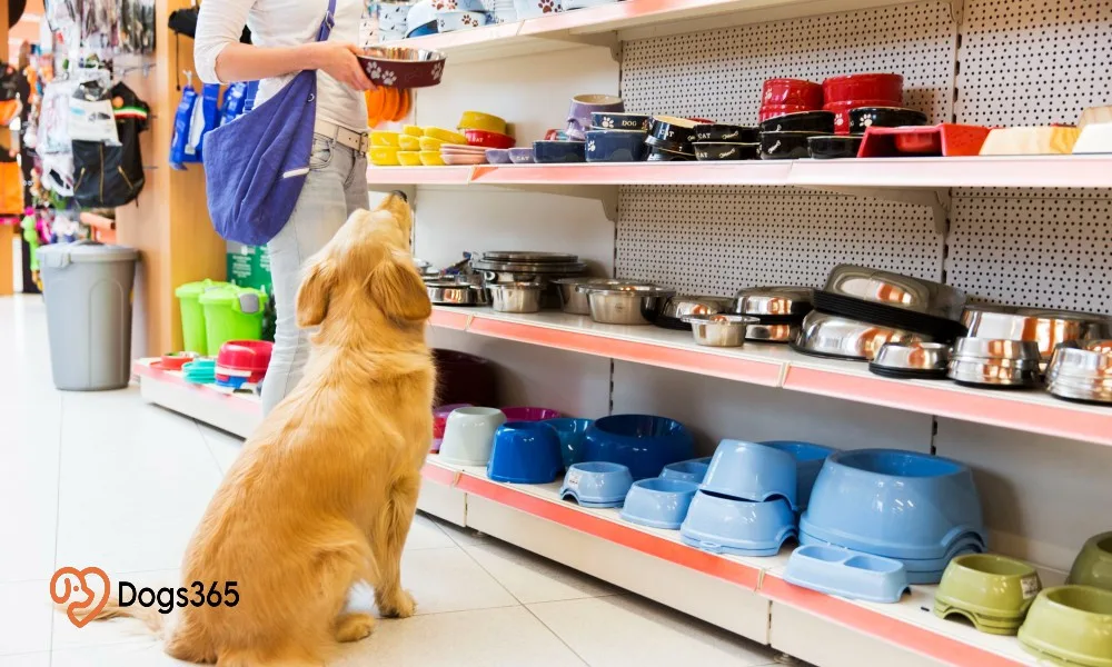 5 Best Dog Stores in Chicago featured image