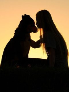 Are Dogs Humans' Best Friend