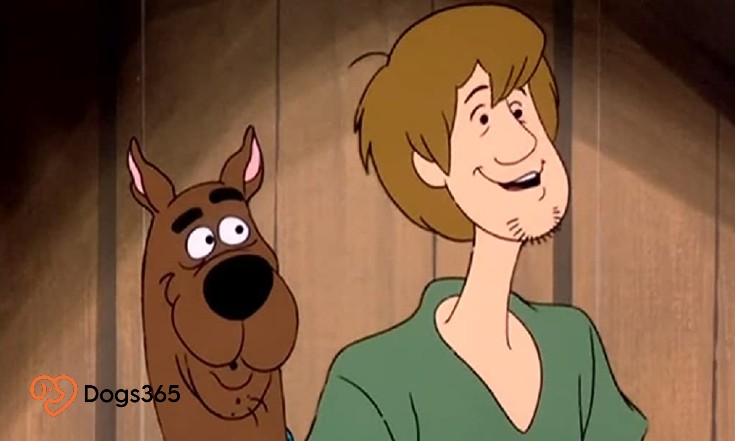 How Did Scooby-Doo Get His Name