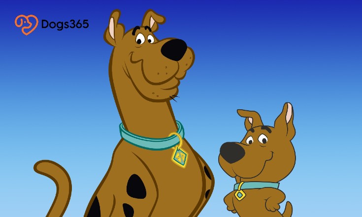 What Kind Of Dog Is Scrappy-Doo