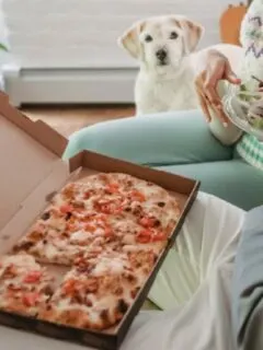 How Often Can Dogs Eat Pepperoni